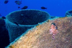 GOPR1192-0003