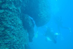 P5030029