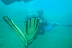 P5040084