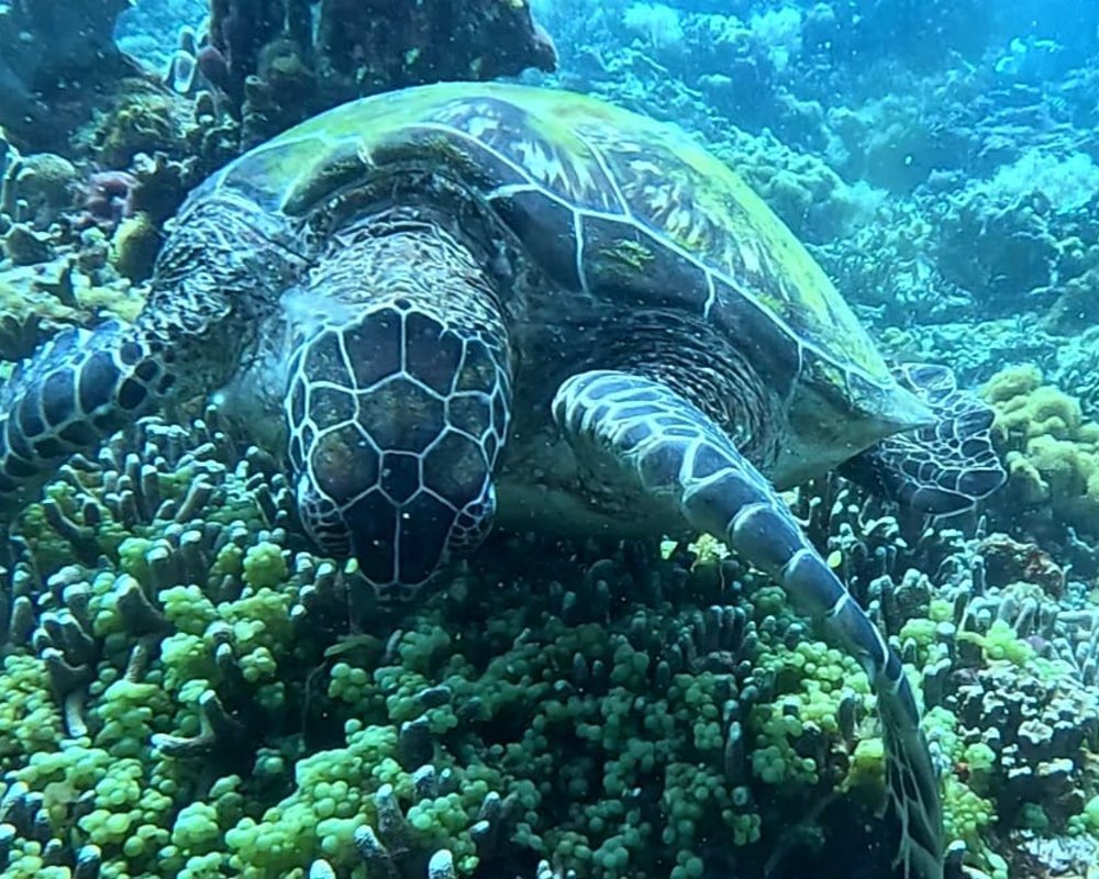 IMG_035