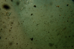 P2030481