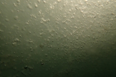 P2030483