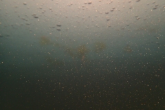 P2030486