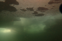 P2030488