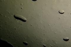 P2030499