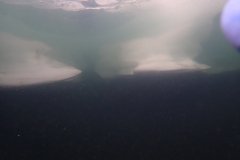 P2030512